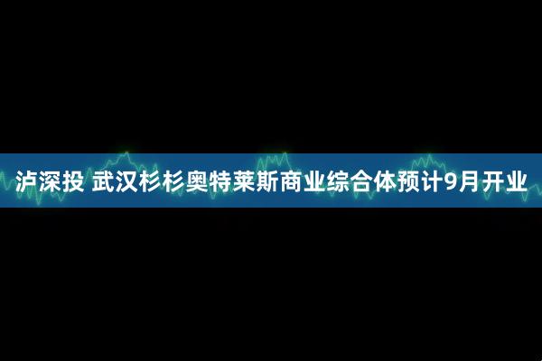 泸深投 武汉杉杉奥特莱斯商业综合体预计9月开业