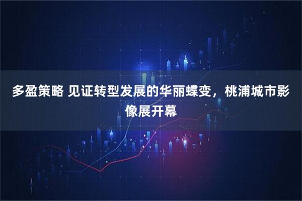 多盈策略 见证转型发展的华丽蝶变，桃浦城市影像展开幕