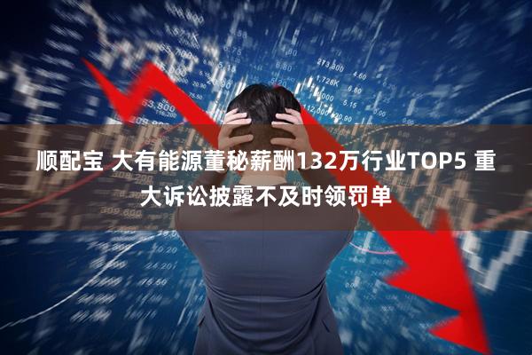顺配宝 大有能源董秘薪酬132万行业TOP5 重大诉讼披露不及时领罚单