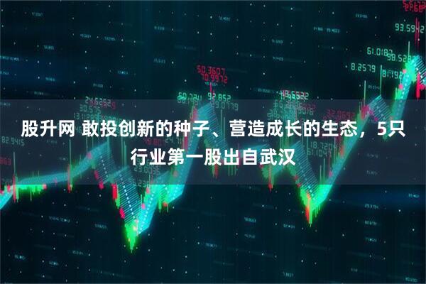 股升网 敢投创新的种子、营造成长的生态，5只行业第一股出自武汉