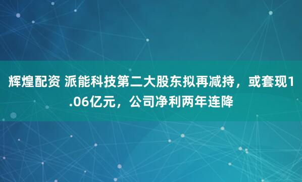 辉煌配资 派能科技第二大股东拟再减持，或套现1.06亿元，公司净利两年连降