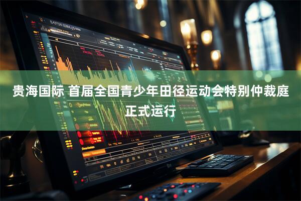 贵海国际 首届全国青少年田径运动会特别仲裁庭正式运行