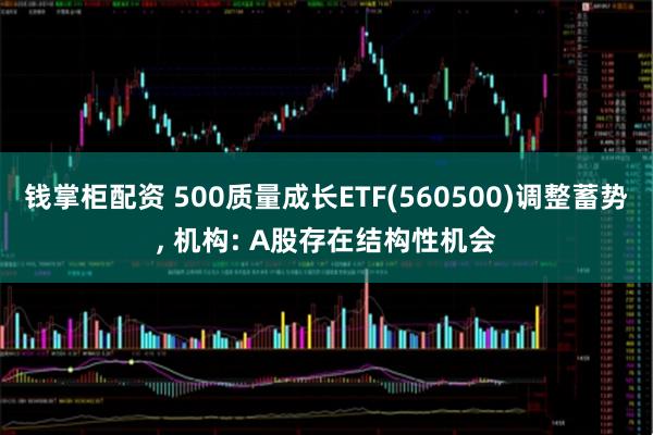 钱掌柜配资 500质量成长ETF(560500)调整蓄势, 机构: A股存在结构性机会