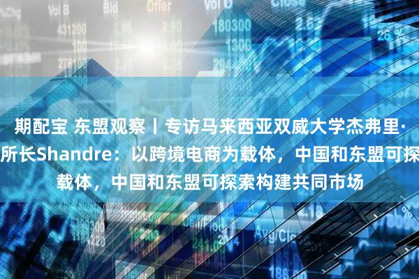 期配宝 东盟观察丨专访马来西亚双威大学杰弗里·谢东南亚研究所所长Shandre:以跨境电商为载体,中国和东盟可探索构建共同市场