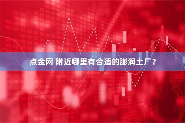 点金网 附近哪里有合适的膨润土厂？